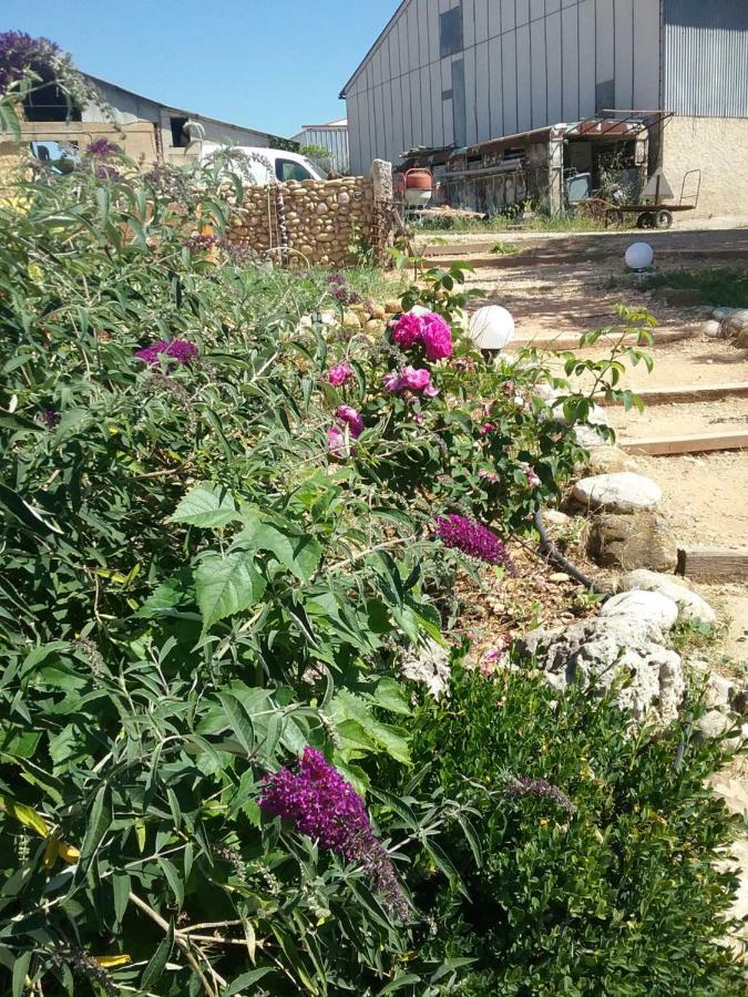فندق Le Petit Fabre مونتاينا المظهر الخارجي الصورة